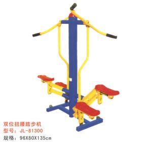 公园健身器材双位扭腰踏板机-81300